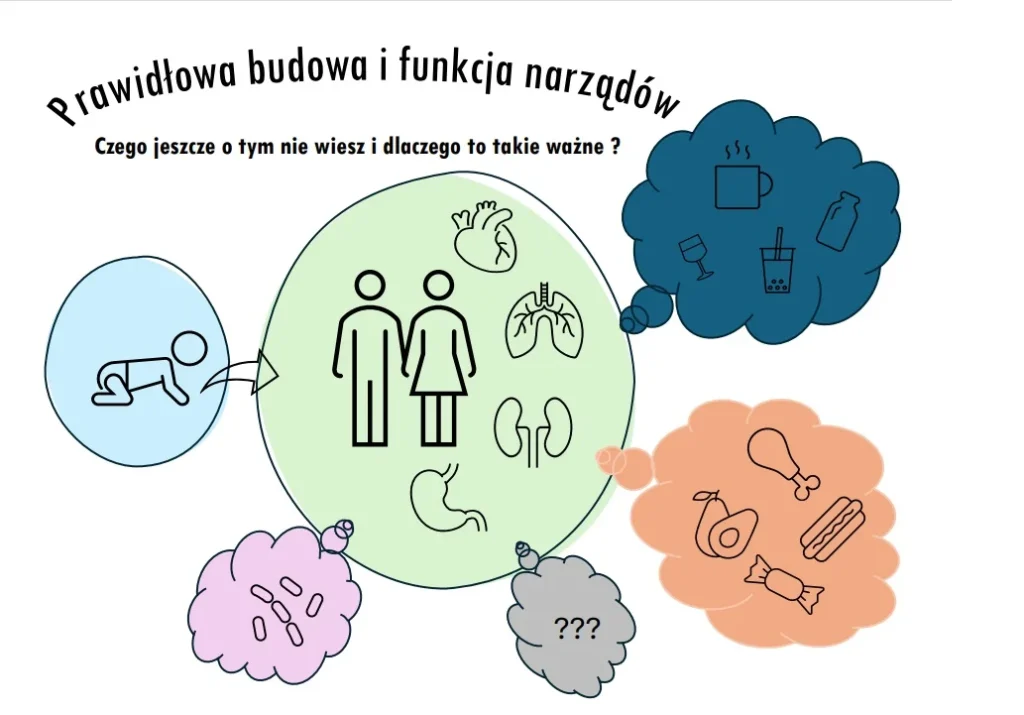 Grafika